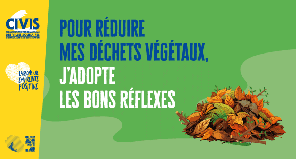 Collecte des déchets végétaux : adaptez-vous aux saisons